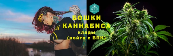 apvp Богородицк