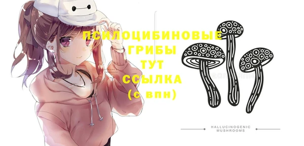 тгк Беломорск