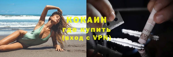 прущие грибы Балабаново