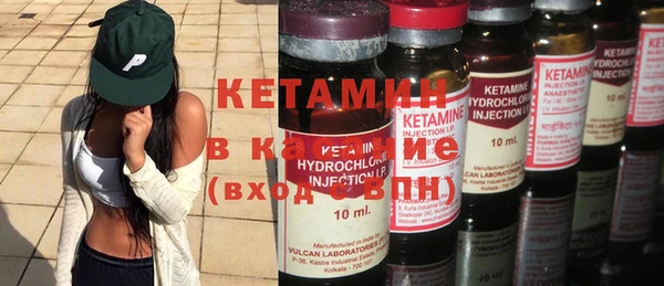 apvp Богородицк
