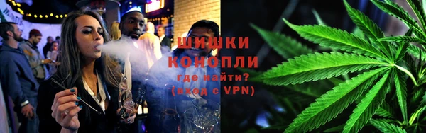 сатива Богородск