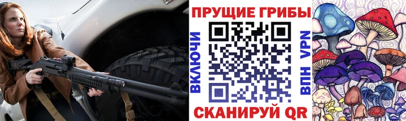 Псилоцибиновые грибы Psilocybe  где найти   Великие Луки 